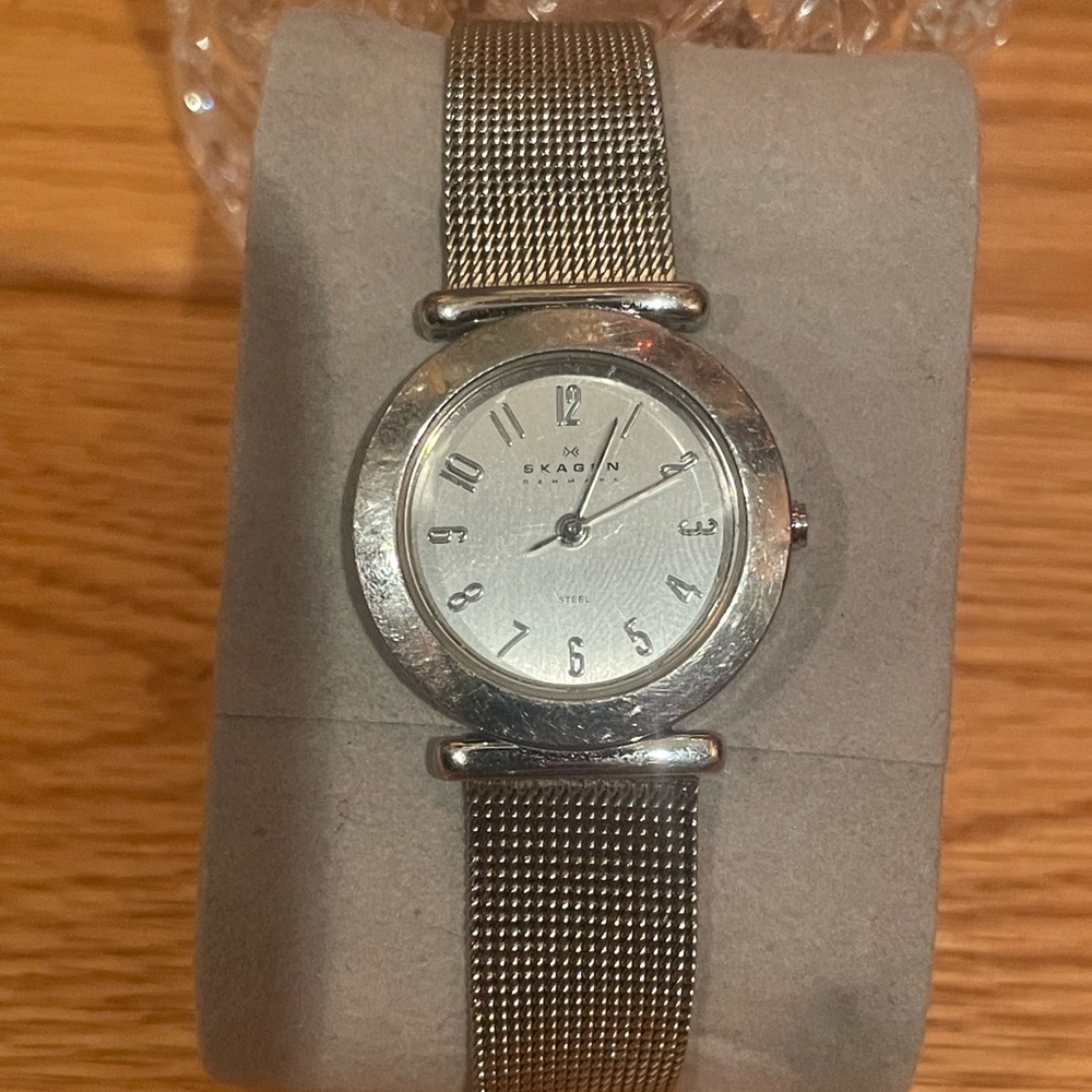 Skagen Denmark steel watch